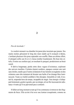 Qui a effacé Martin Sontag ? - Une enquête d'Alex Brismontier
