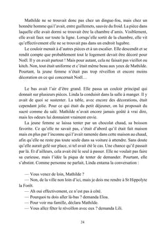 Un Noël à Gaudiflot
