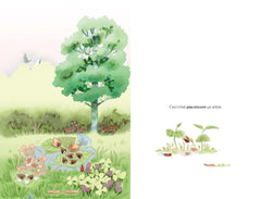 Ceci n'est pas un arbre