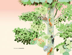 Ceci n'est pas un arbre