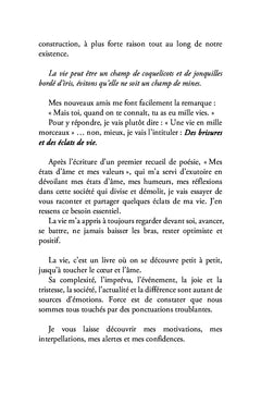 Des brisures et des éclats de vie
