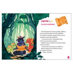 Un, deux, trois Dragons - Danger au royaume ! - Tome 1