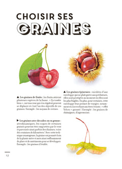 Les minis Silence ça pousse ! Je multiplie mes plantes à l'infini