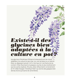 Silence ça pousse ! 365 questions pour réussir son jardin