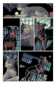 La Fourrière des animaux