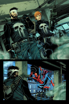Spider-Man & Punisher - Web of Heroes Collection T04