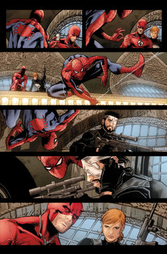 Spider-Man & Punisher - Web of Heroes Collection T04