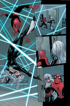 Spider-Man & Black Cat - Web of Heroes Collection T05