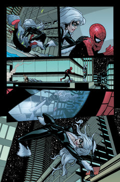 Spider-Man & Black Cat - Web of Heroes Collection T05