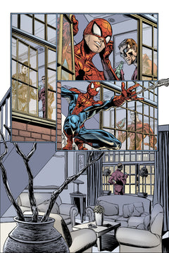 Spider-Man & Daredevil -Web of Heroes Collection T09