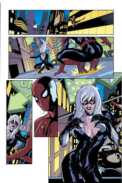 Spider-Man / Black Cat : L'enfer de la violence