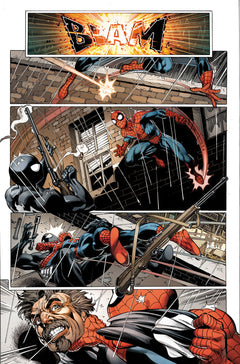 Spider-Man : L'histoire d'une vie