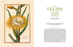 Les velins du Museum d'histoire naturelle