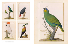 Les velins du Museum d'histoire naturelle
