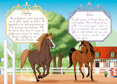Mes amis les chevaux, Tome 52 - Moustique mène l'enquête