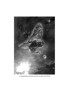 Le voyage de Lune-Blanche