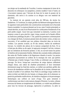 Feihwauz : Réveillé des Brumes - Tome I
