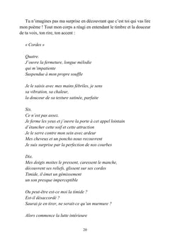 Le Voleur de Lingerie