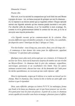 Le Voleur de Lingerie