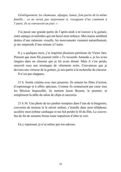 Le Voleur de Lingerie