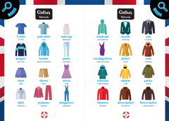 Guide de survie LAROUSSE d'Anglais