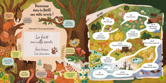 Les petits secrets de la forêt