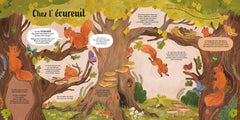 Les petits secrets de la forêt