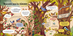 Les petits secrets de la forêt