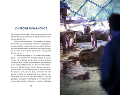 Le manchot qui apprit à voler