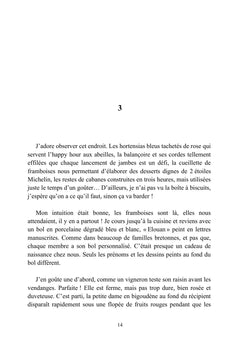 Trois jours et c'est tout