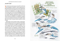 Chroniques des oiseaux du jardin