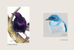 Chroniques des oiseaux du jardin