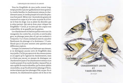 Chroniques des oiseaux du jardin
