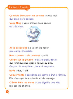 Mon voyage en ballon lecture adaptée - CM1-CM2