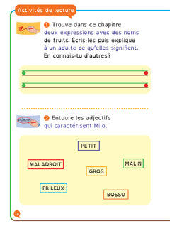 Mon voyage en ballon lecture adaptée - CM1-CM2