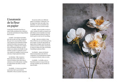 Fleurs en papier