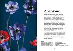 Fleurs en papier