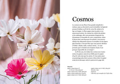 Fleurs en papier