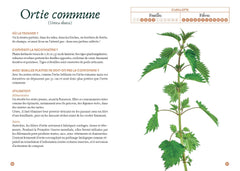 Memento de la cueillette