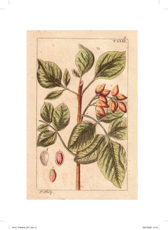 Les petits cahiers 180°C - Pistache