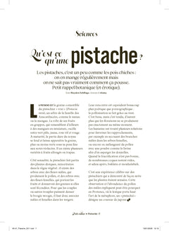 Les petits cahiers 180°C - Pistache
