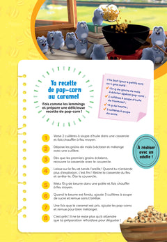 Cahier de vacances Grizzy et les lemmings - CE1  vers le CE2