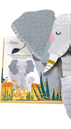 À la découverte de la savane - Un livre pop-up
