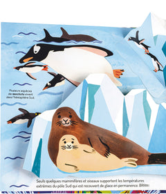À la découverte des océans - Un livre pop-up