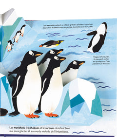 À la découverte des océans - Un livre pop-up