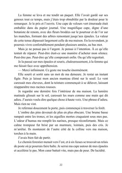 Les Fleurs du Brouillard - Tome I