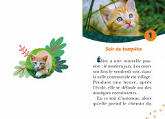 Bienvenue au refuge, Tome 15 - Super chat !