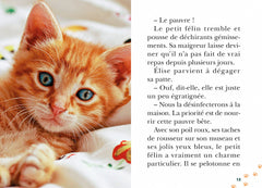 Bienvenue au refuge, Tome 15 - Super chat !
