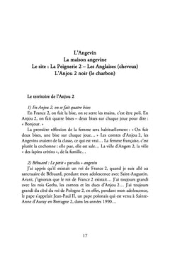 Le fonctionnaire de la couronne anglaise