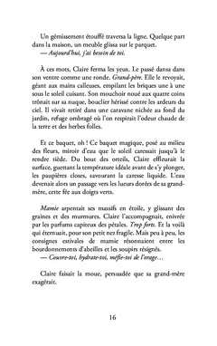 Les histoires de monsieur Gary